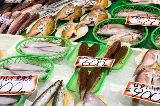 スポット内のおすすめ
