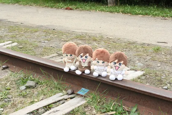 ちびぬい持ってる人全員行って欲しい