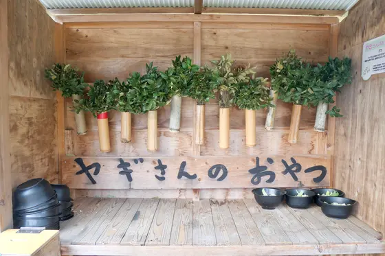 ヤギさんのおやつ