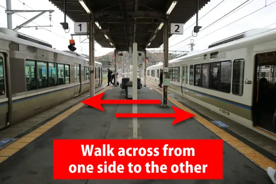 スポット内のおすすめ