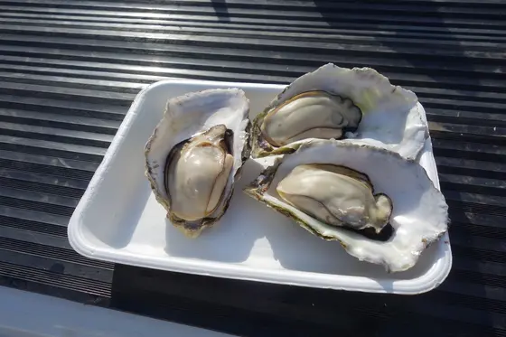 その場で食べる楽しみ