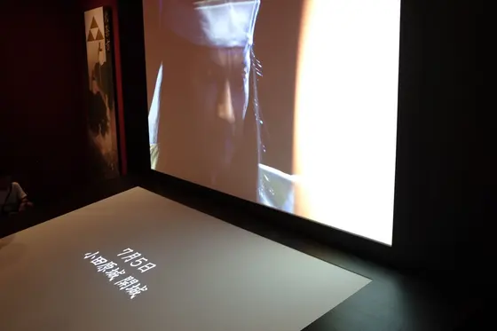 映像も