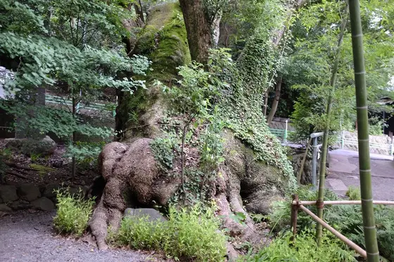 第ニ大楠
