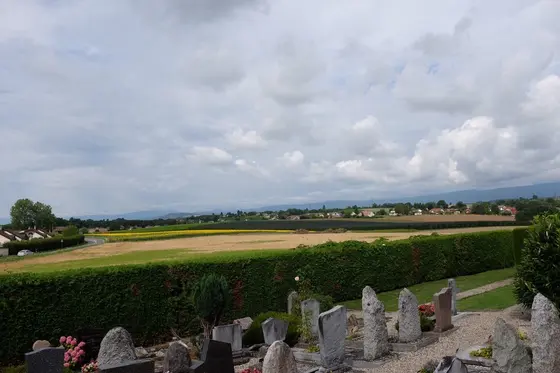 墓地からの眺め