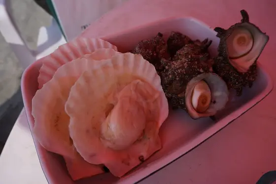 海鮮つきがオススメ！