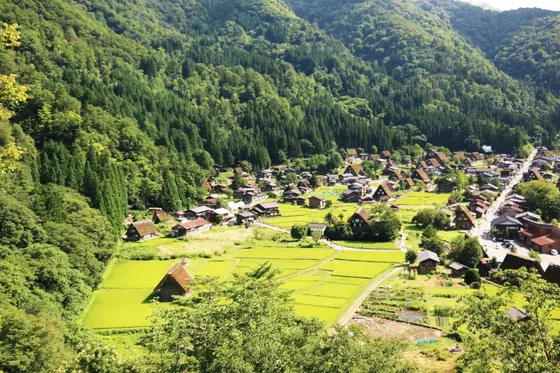白川郷集落が一望✨