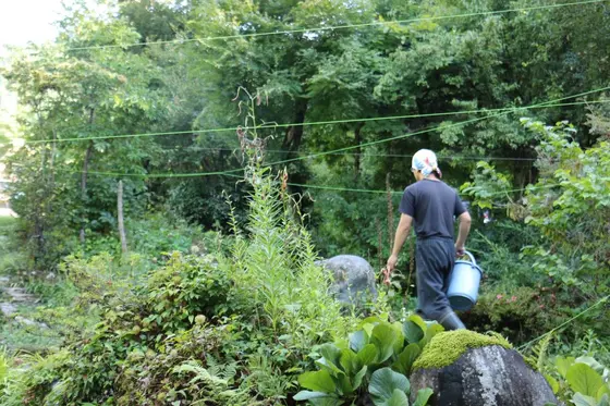 料理を注文すると