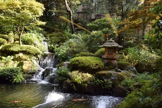 素敵な庭園