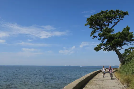 島の反対側の景色が最高