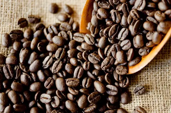 シンボル商品：パンドラ・コンセプシオン