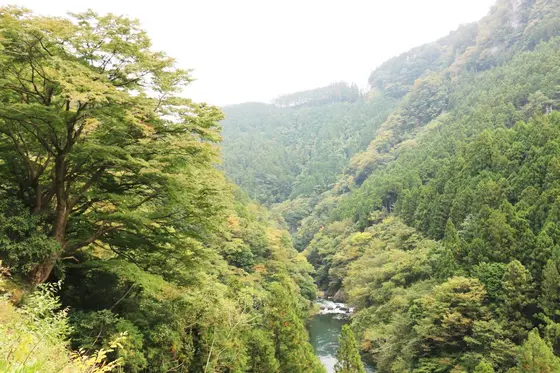通り過ぎて少し歩くと渓谷が望めるポイントが📸