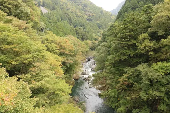 しだくら吊橋からの景色✨