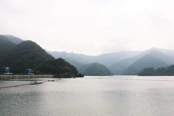 想像より大きくてびっくりしました！