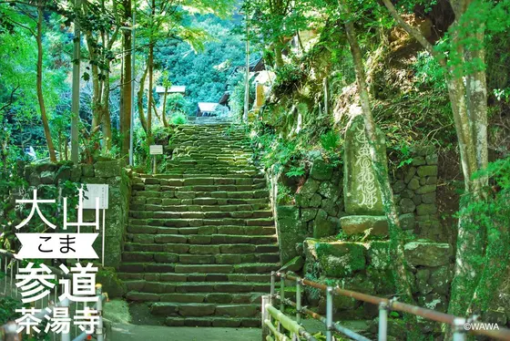 来迎院 山門 参道