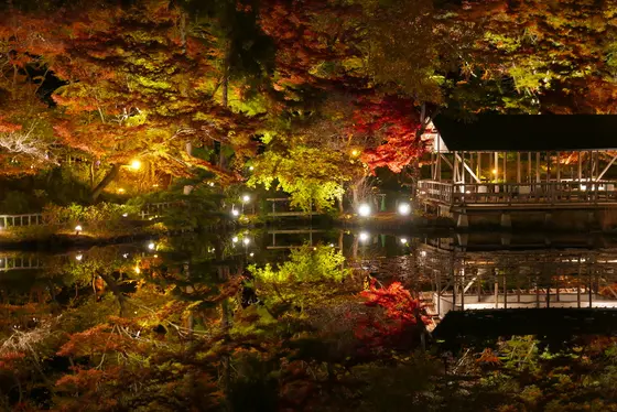 逆さ紅葉が見れる池