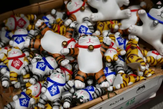 購入しやすい猫も少なくない