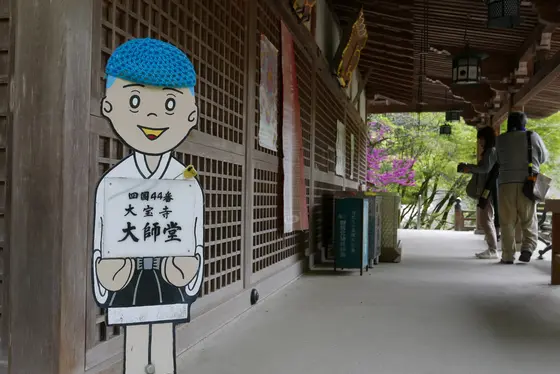 一日中薄暗い場所