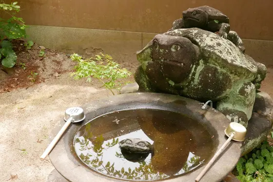 カメの手水