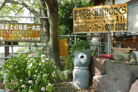 説明看板がやたら多い