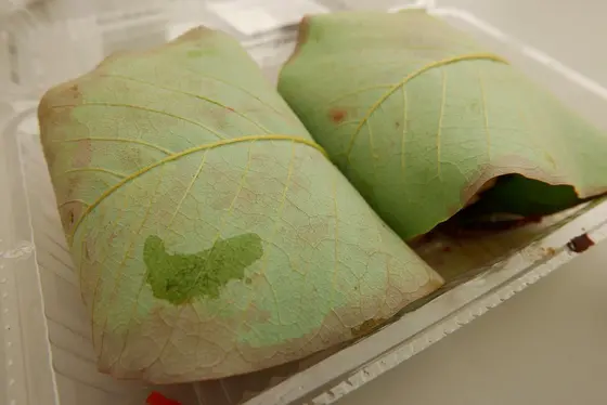 朴葉寿司
