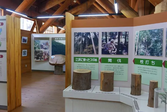 山の木についての資料館