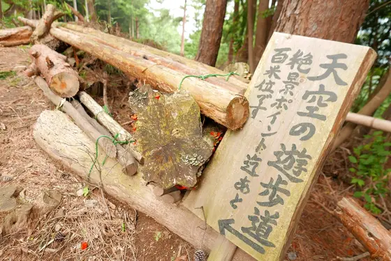 ここから先が問題の道