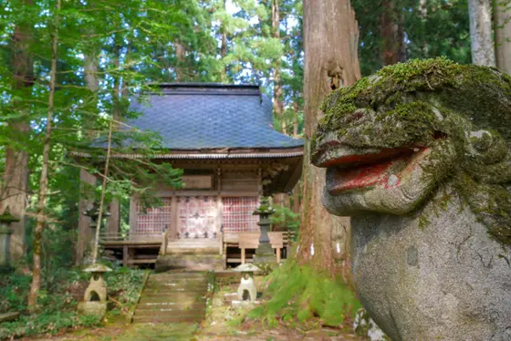 スポット内のおすすめ