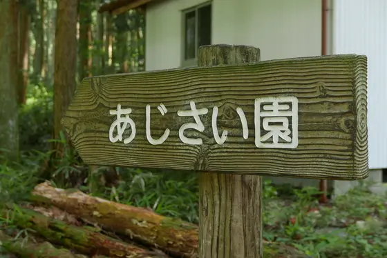 神社の横を見ると看板が