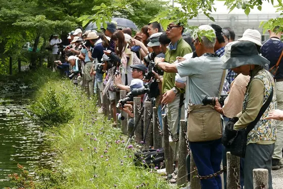 人が多い時はこの通り