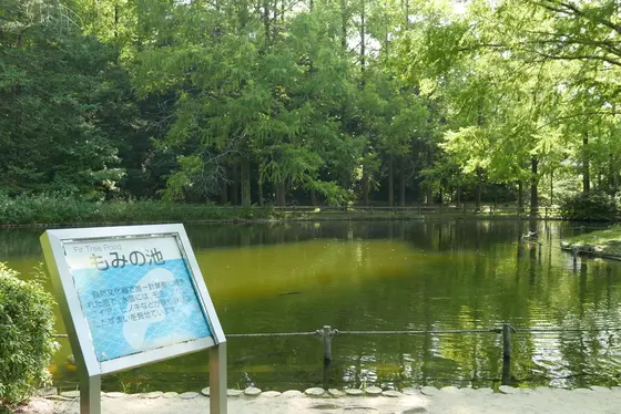 ところどころに池が