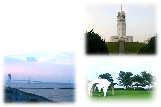 そして、横浜港シンボルタワーからの絶景を楽しむ