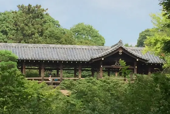 木の橋より