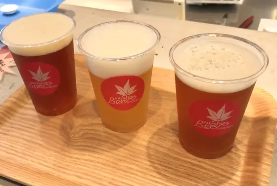 飲み比べセット(¥1000)