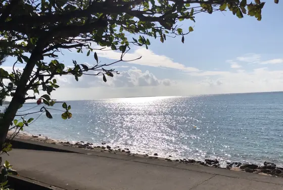 海🌊