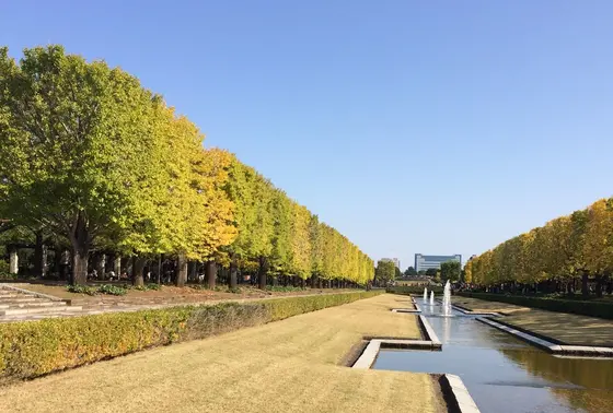 水路を反対側から