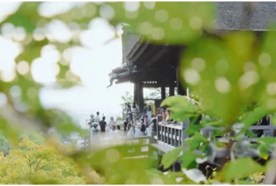 清水寺が素敵に見える場所