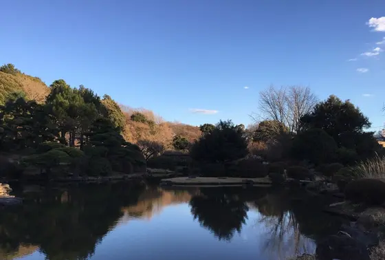 「暴れん坊将軍」と「大岡越前」が作った都心の森