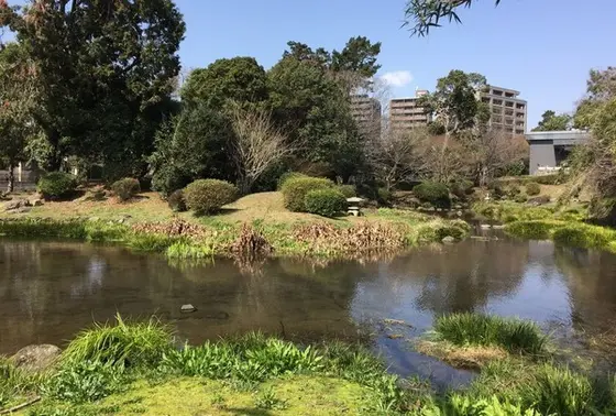 水とこの本について
