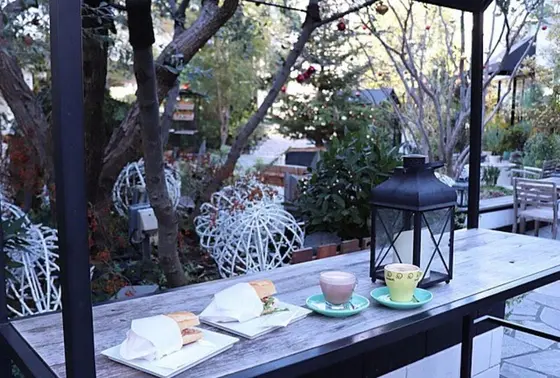 スポット内のおすすめ