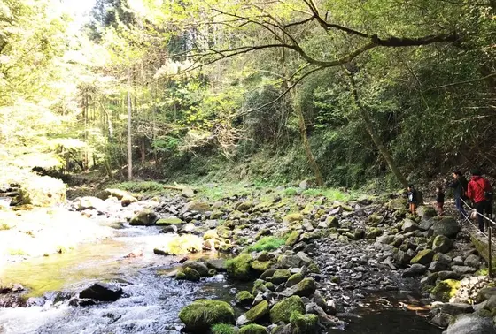 食後は遊歩道でお散歩♪