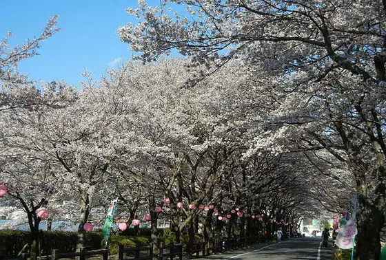 家山川緑地公園