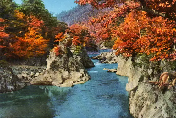 紅葉がとってもきれい☆