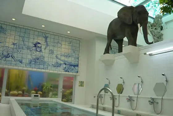 風呂にゾウ！？🐘