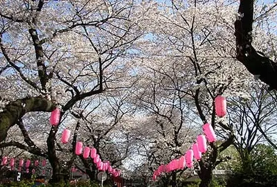 新井薬師公園2