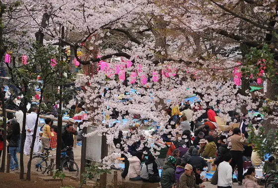 新井薬師公園3