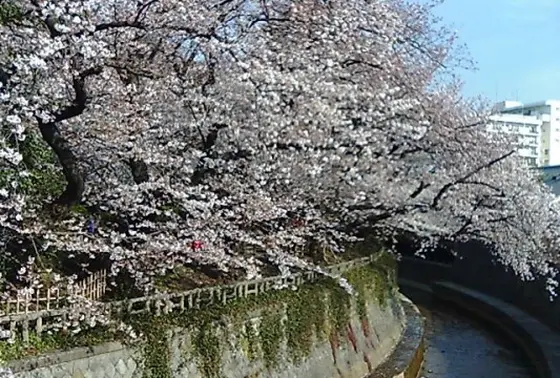 哲学堂公園1