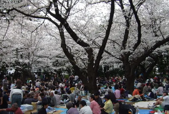 哲学堂公園2