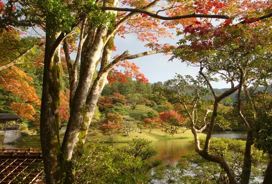 だんだん晴れてきた！