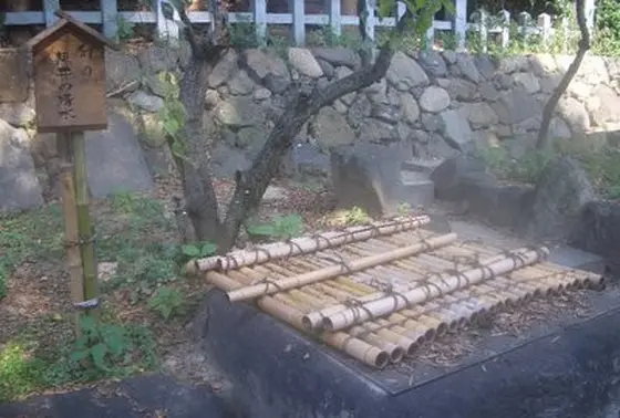 幻の黒井の清水