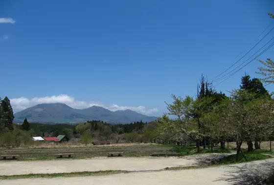 天空塔からの眺め
